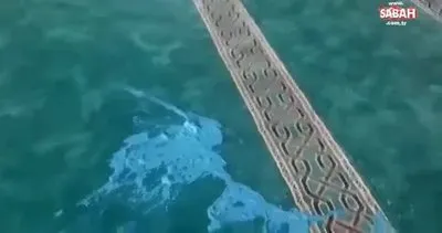 Denizli’de camiye boyalı saldırı | Video