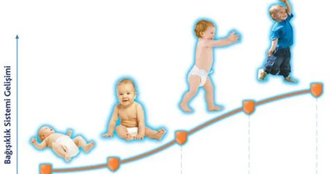 Bağışıklık çeşitleri nelerdir?