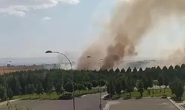 Diyarbakır Havalimanı yanındaki ormanda yangın çıktı