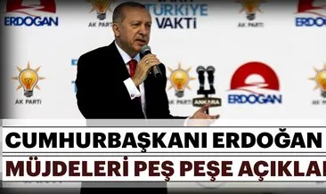 Cumhurbaşkanı Erdoğan AK Parti Seçim Beyannamesi’nde önemli açıklamalarda bulundu.