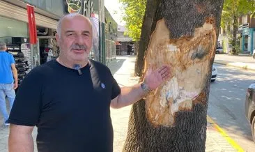 Kocaeli'nde dehşet anları! İki vatandaş son anda kurtuldu #kocaeli
