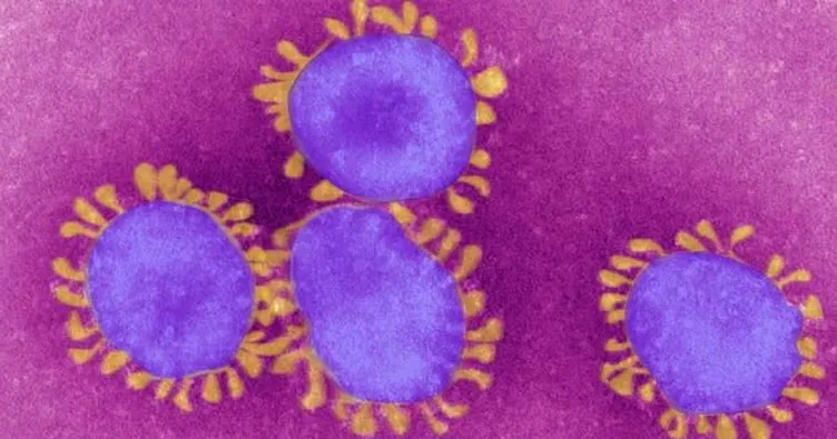 Fransa’da üçüncü koronavirüs vakası tespit edildi!