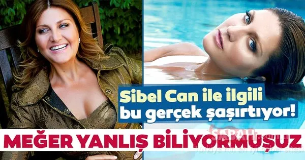 delice doğa evi spy wc vk