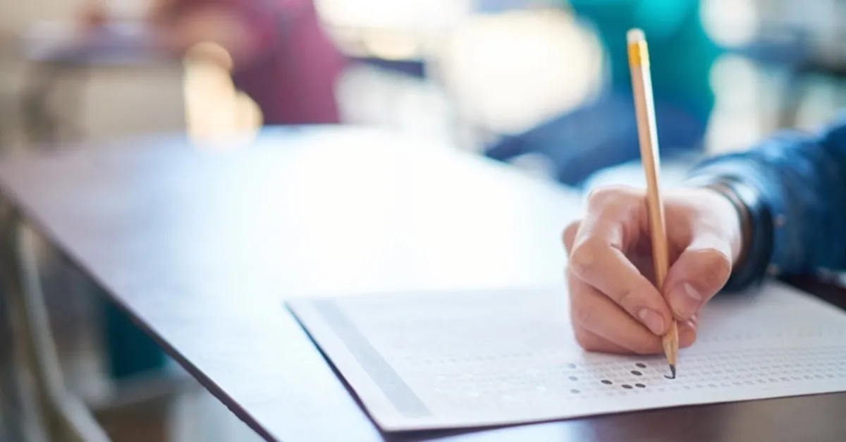 bilsem sonuclari 2020 sorgulama ekrani