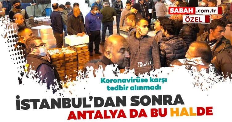 Antalya Balık Hali’nde de aynı manzara!