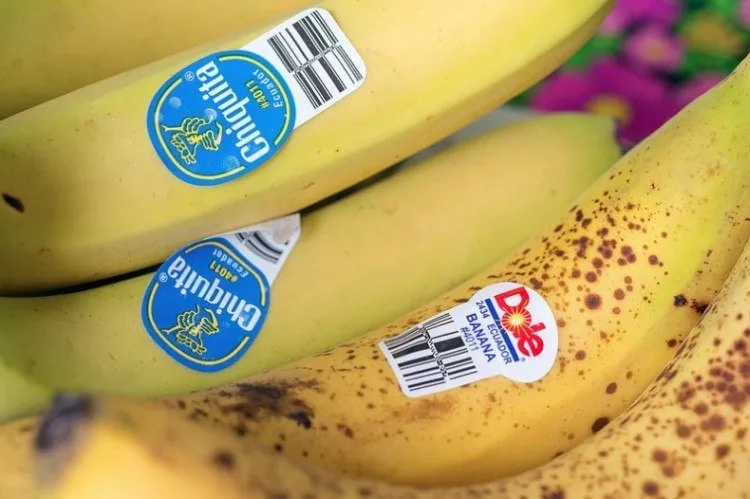 Tiktok kullanıcısı meyvelerin etiketlerindeki sırrı ortaya çıkardı! Sağlığınız tehlikede olabilir