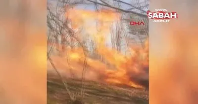 Sakarya’da ormanda yangını! | Video