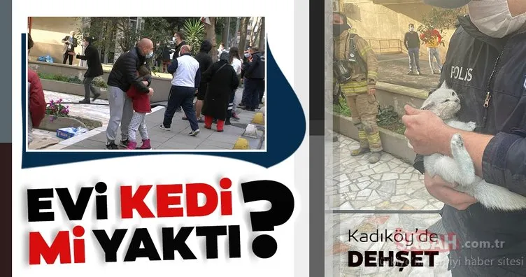 Kadıköy’de çıkan yangına kedinin devirdiği soba neden oldu iddiası