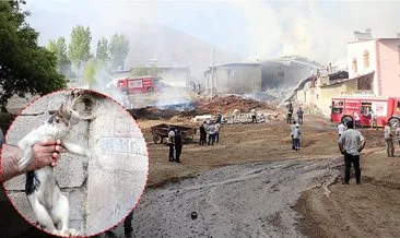 Erzurum'da alevlerin içinde kalan kediyi kurtardı: Can suyu oldu #erzurum