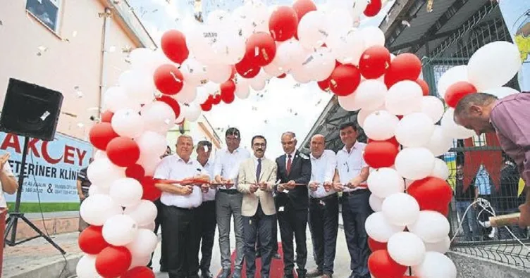 Güneşe ‘baka’ kalmadık