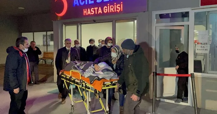 Erzincan’da köpeklerin saldırısına uğrayan çocuk ağır yaralandı