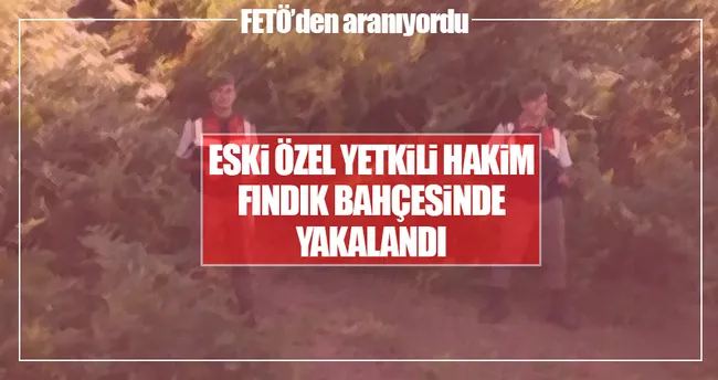 Kaçak Özel Yetkili Eski Hakim fındık bahçesinde yakalandı