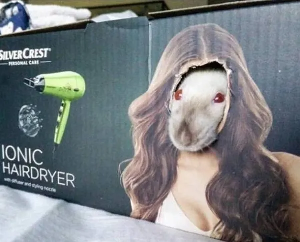 Dünyanın en anlamsız fotoğrafları