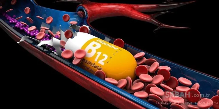 B12 vitamin eksikliği olanlar dikkat! İşte B12 ihtiyacını karşılayan gıdalar...
