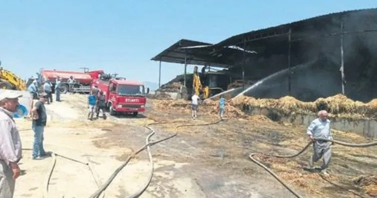 15 bin balya saman kül oldu