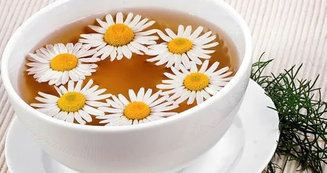 papatya cayinin faydalari nelerdir