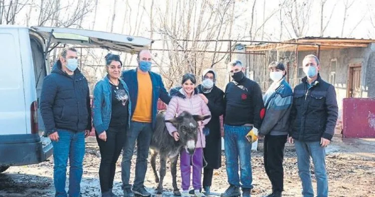 ‘Şanslı’ Ecrin’e teslim edildi