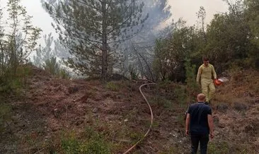 Karabük'ün Ovacık ilçesinde tarla yangını #karabuk