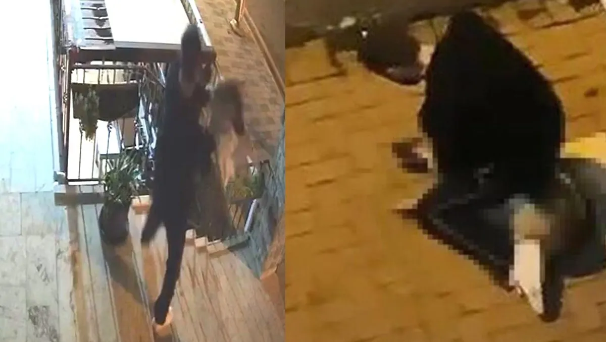 Köpeği boğmaya çalışan caninin yeni videosu çıktı! Bu görüntü kan dondurdu!