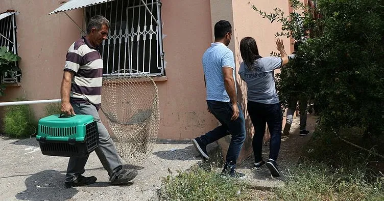 Hatay’da kurtarılmaya çalışılan inatçı kedi yakalandı