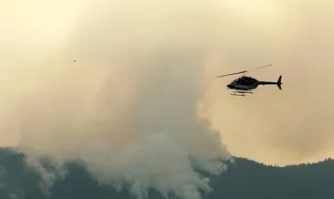 Kanada’da 17 milyon dönüm alan kül oldu: Son 30 yılın en kötüsü