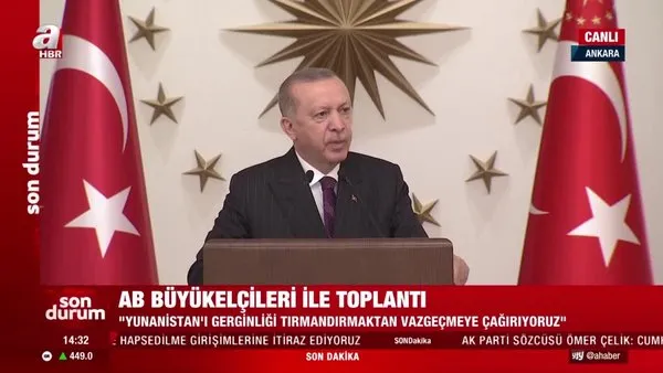 Son dakika: Cumhurbaşkanı Erdoğan'dan AB Büyükelçiler Toplantısı'nda önemli açıklamalar | Video