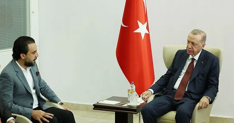 Başkan Erdoğan, Irak Temsilciler Meclisi Başkanı Halbusi ile görüştü