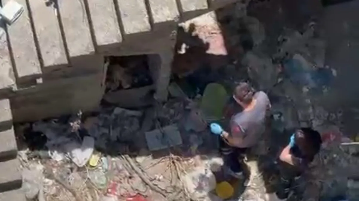 Sarıyer'de dehşet anları: Kayıp kedisini arayan kadın ceset buldu!