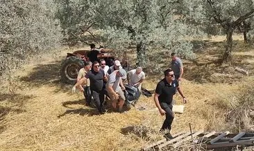 Traktör yokuşta devrildi: 66 yaşındaki adamın kahreden sonu! #aydin