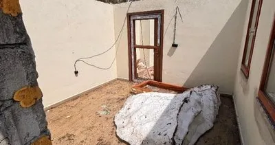 Galer düzü kış hasarı büyük
