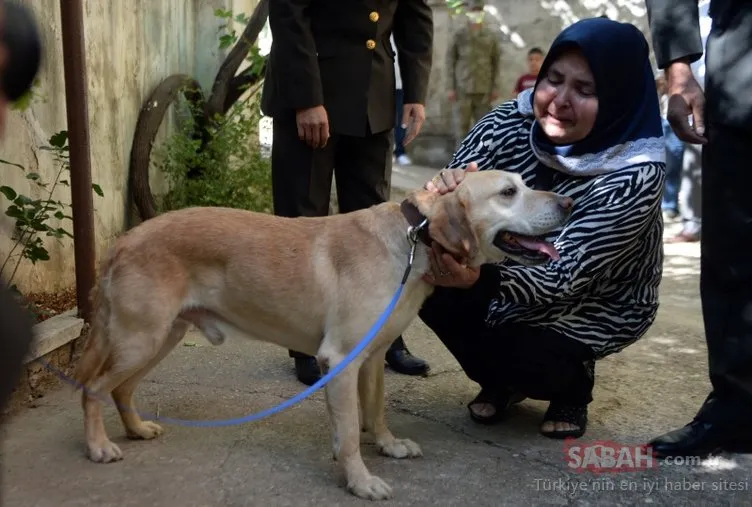 ’Atmaca’ şehit Ahmet Akdal’ın ailesine verildi: Köpek demiyorum, çünkü o gazi...
