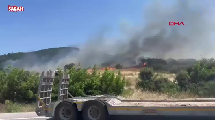 Çanakkale'de orman yangını | Video