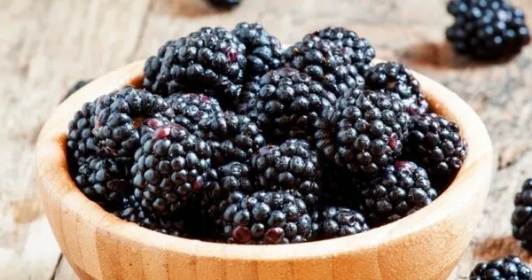 Tam bir şifa kaynağı Karadut'un faydaları saymakla bitmiyor