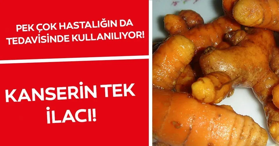 Kansere Karsi Zerdecal Mucizesi Saglik Haberleri