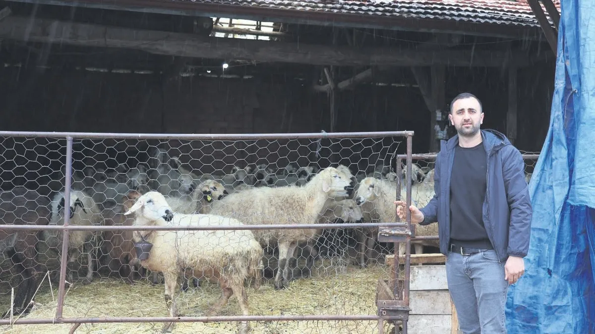 Devlet destekledi Sercan başardı