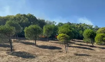 Çatalca'da 2 bölgede çıkan yangın korkuttu! #istanbul