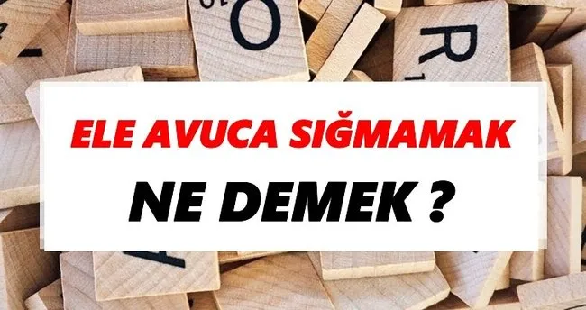 Ele avuca sığmamak Ne Demek? TDK’ya Göre Ele avuca sığmamak Sözlük Anlamı Nedir?