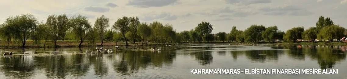 son dakika kahramanmaras haberleri