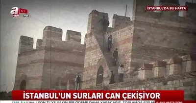 İstanbul’un surları can çekişiyor! Fethin sembolü surlar restorasyon bekliyor
