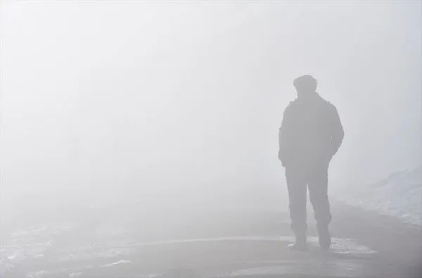 Muş Ovası’ndan muhteşem görüntüler