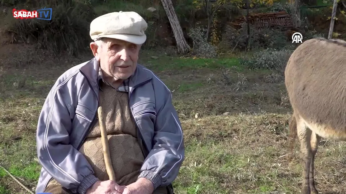 Görme engelli Raif dede yolunu 24 yıldır eşeği “Magare” sayesinde buluyor | Video videosunu izle Görme engelli Raif dede yolunu 24 yıldır eşeği “Magare” sayesinde buluyor | Video videosunu izle