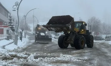Van beyaza büründü: Kent merkezinde lapa lapa kar etkili oluyor #van