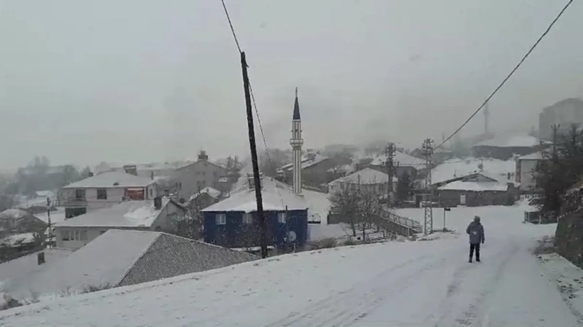 Bingöl Karlıova’da kar yağışı etkili oldu! Bingöl Karlıova’da kar yağışı etkili oldu!