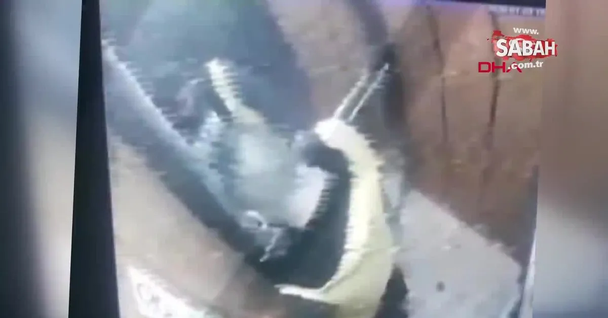 Son Dakika Izmir De Damacana Suyun Icine Idrarini Yapan Sucunun Skandal Goruntuleri Ortaya Cikti Video Videosunu Izle Son Dakika Haberleri