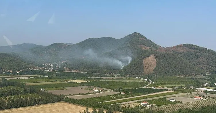 Muğla’da orman yangını