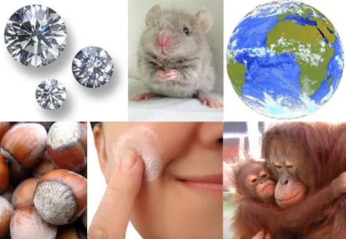 Arapça'dan Türkçe'ye geçen sözcükler - Galeri - Yaşam