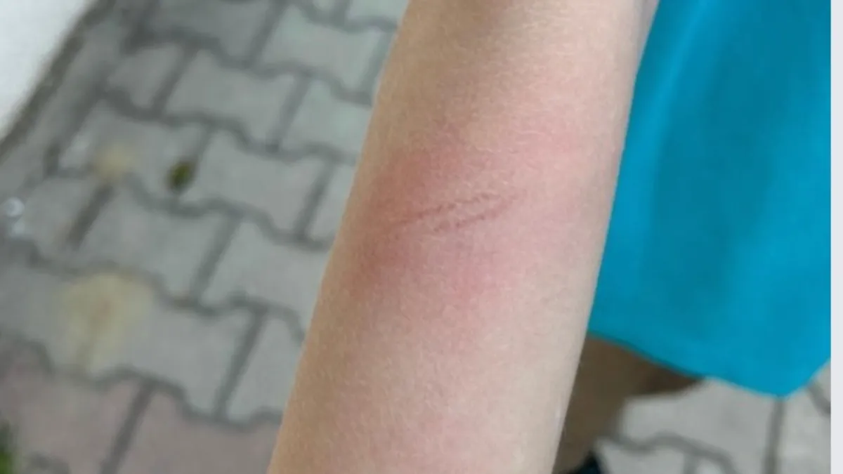 Öğretmene hapis! Demir çubuk ‘silah’ sayıldı Öğretmene hapis! Demir çubuk ‘silah’ sayıldı