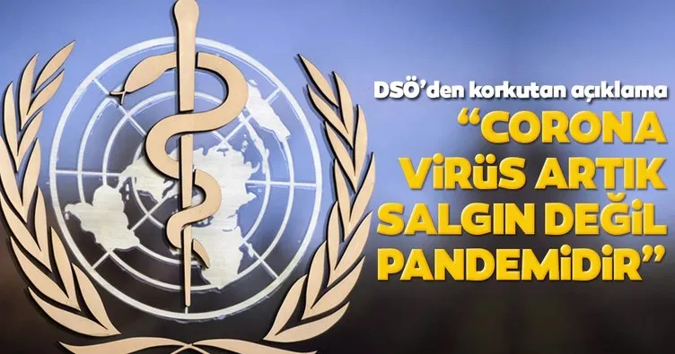 Son dakika: Dünya Sağlık Örgütü’nden corona virüs açıklaması