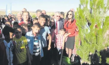 Niğde yeşilleniyor