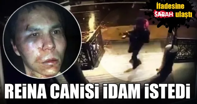 Reina canisi idam istedi